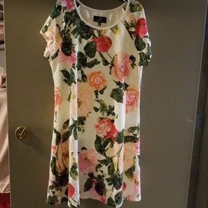 Ladies knee length dress